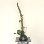 谷渡りを使った、縦長の生け花