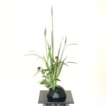 花菖蒲の生け花 季節のお花、シャクヤクと共に活ける