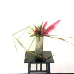 夏の生け花 姫ガマを使って