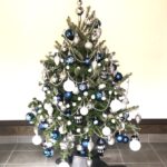 IKEAのもみの木でクリスマスツリー 【2022年】