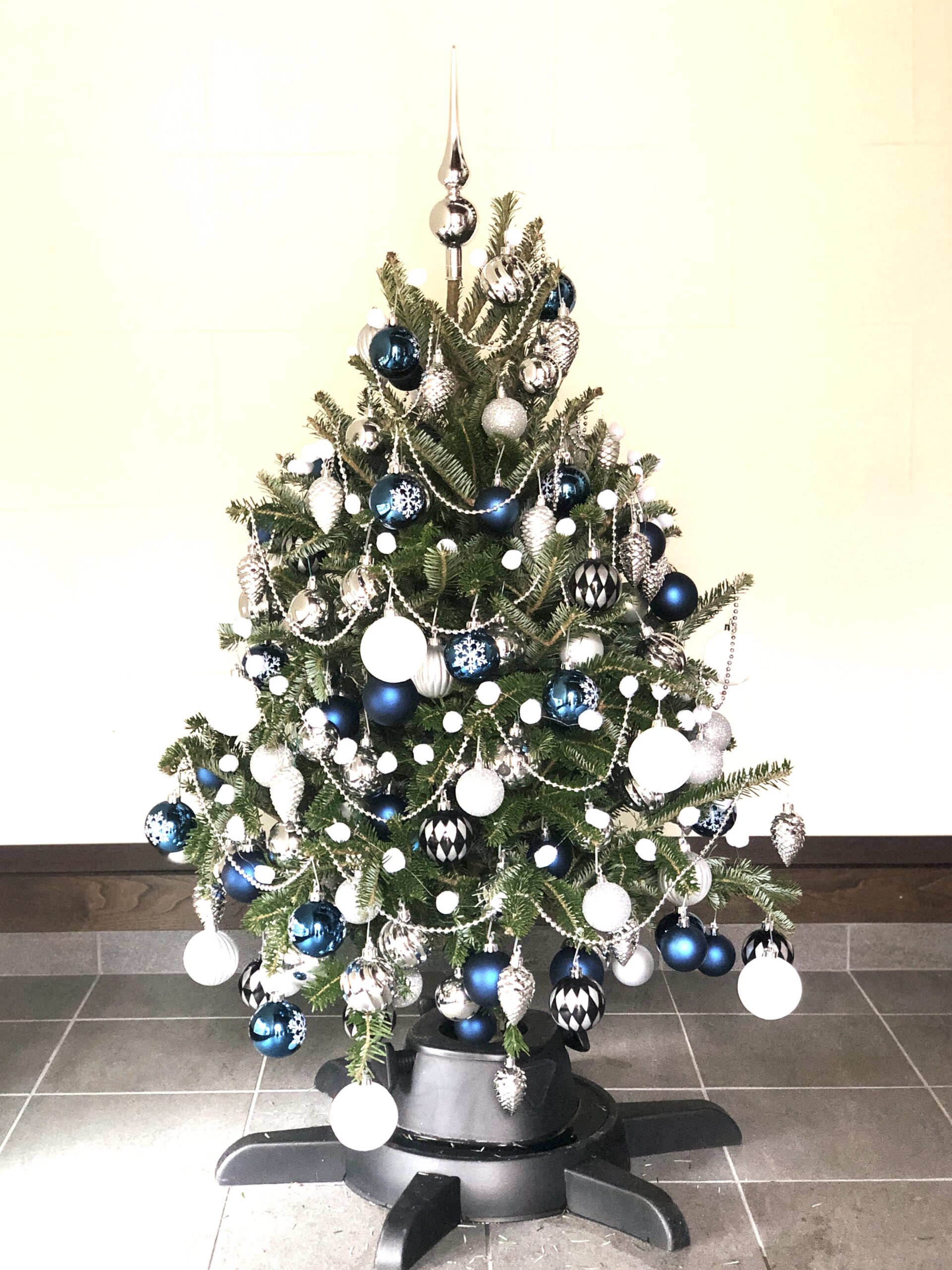 IKEAのもみの木でクリスマスツリー　【2022年】　