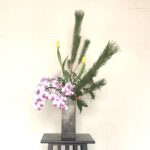 お正月の生け花 リビングにはチューリップ、胡蝶蘭、かすみ草で華やかに