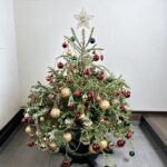イケアのモミの木でクリスマスツリー 【2023】