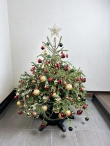 イケアのモミの木でクリスマスツリー 【2023】