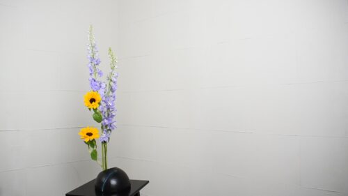 ひまわりを入れる