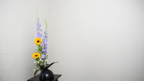 ソリダコを入れる