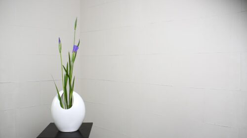 花菖蒲を入れる