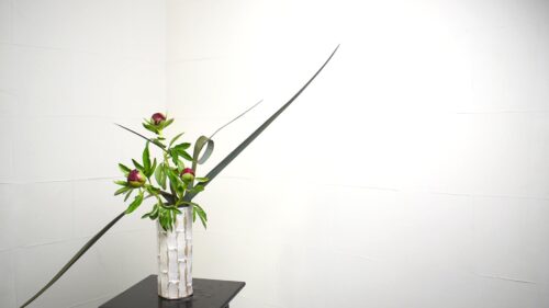 芍薬を入れる