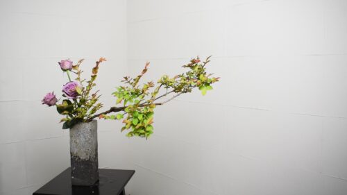 バラを入れる