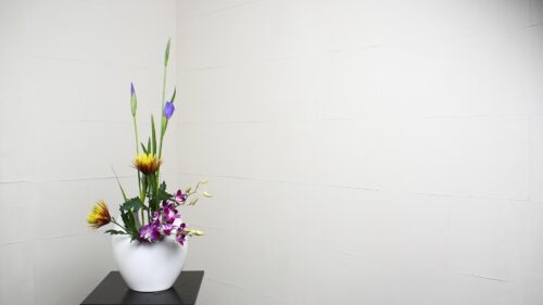 デンファレを入れる