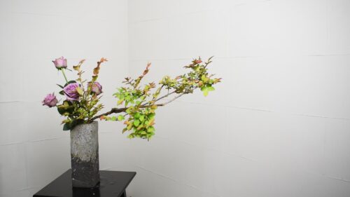 バラを足す