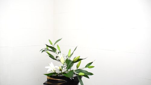 オリエンタルリリーのお花を追加する