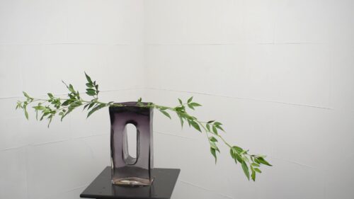 ソケイを入れる
