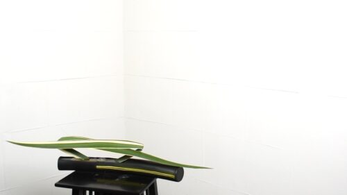ニューサイランを入れる