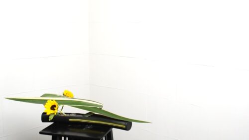 ひまわりを入れる