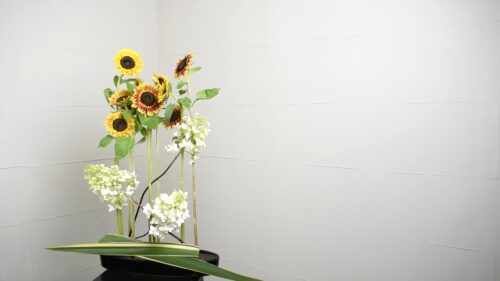 ひまわりを追加する