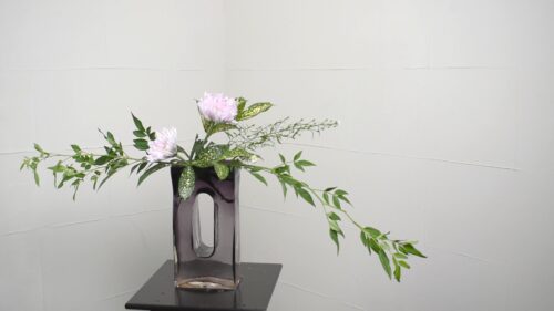 孔雀草を入れる