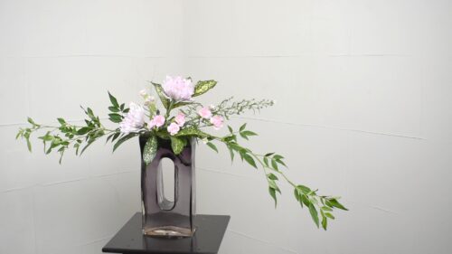 パニカムを入れる