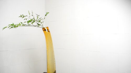 姫南天を入れる