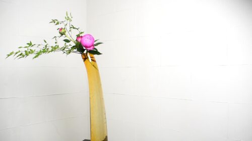芍薬を入れる