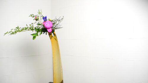 デュモサを入れる