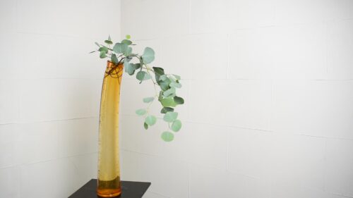 ユーカリを入れる