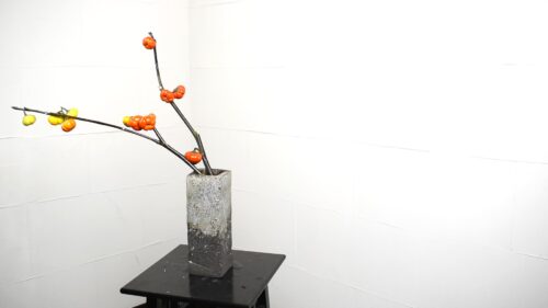 花ナスを入れる