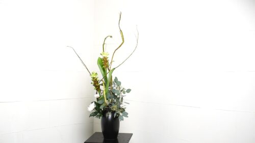 ユーカリを入れる