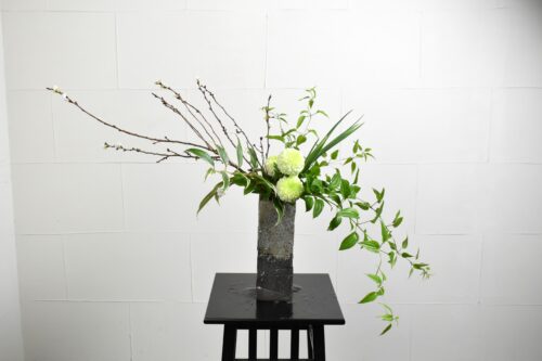 寒桜の生け花