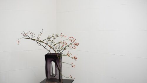 ノイバラを入れる