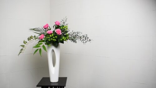 アレカヤシを入れる