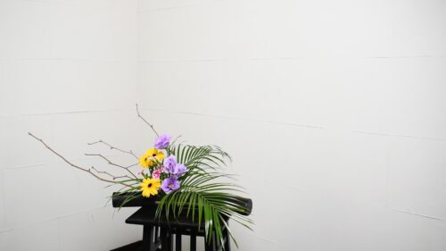 土佐水木を追加する