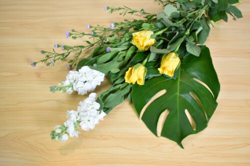 今回の花材