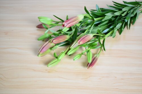 百合