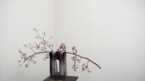 ノイバラを置く