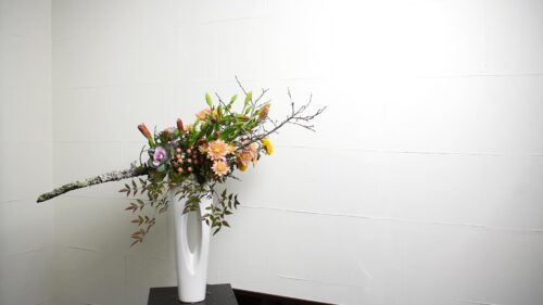 ピンポンマムを入れる