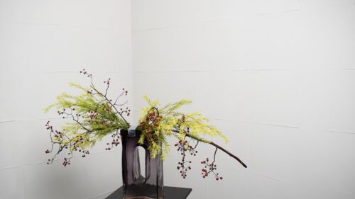 メラレウカを入れる