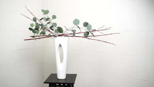 ユーカリを入れる