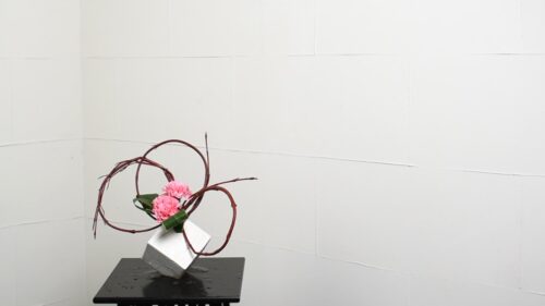 カーネーションを入れる