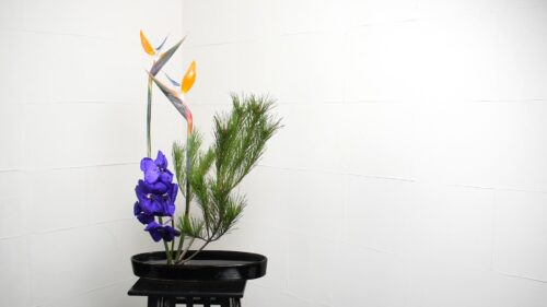 バンダを入れる