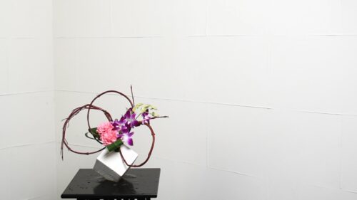 デンファレを入れる