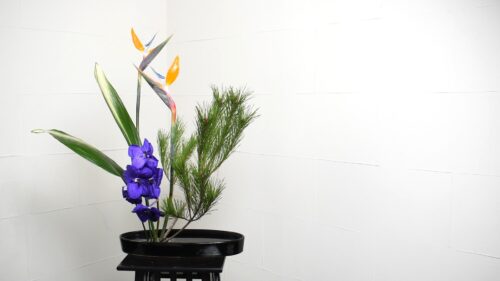 ハランを入れる