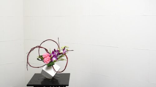 ソリダコを入れる