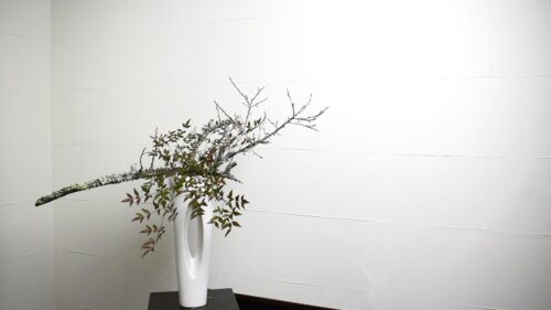 南天を入れる