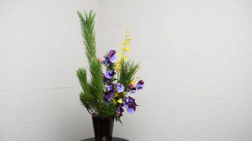 左から見たところ