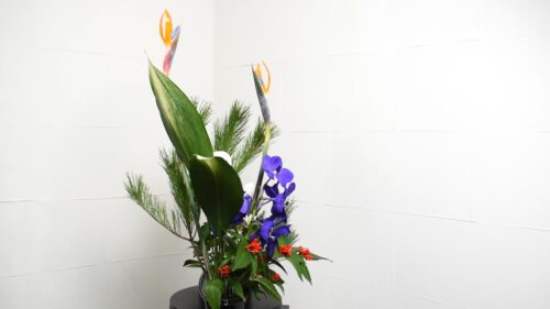 左側から見たところ