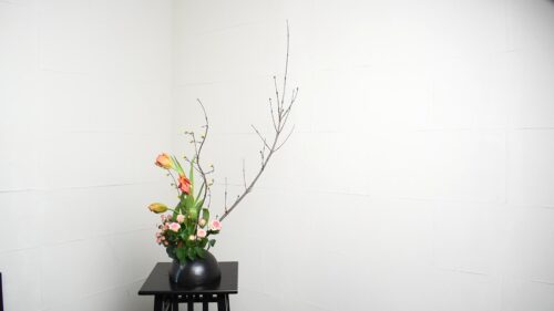 ヒペリカムを入れる