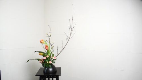 ハランを入れる
