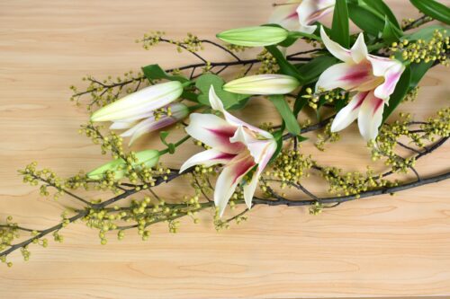今回の花材