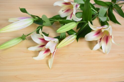 百合
